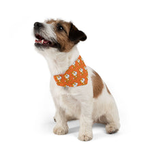 Scratch Cat Pet Bandana