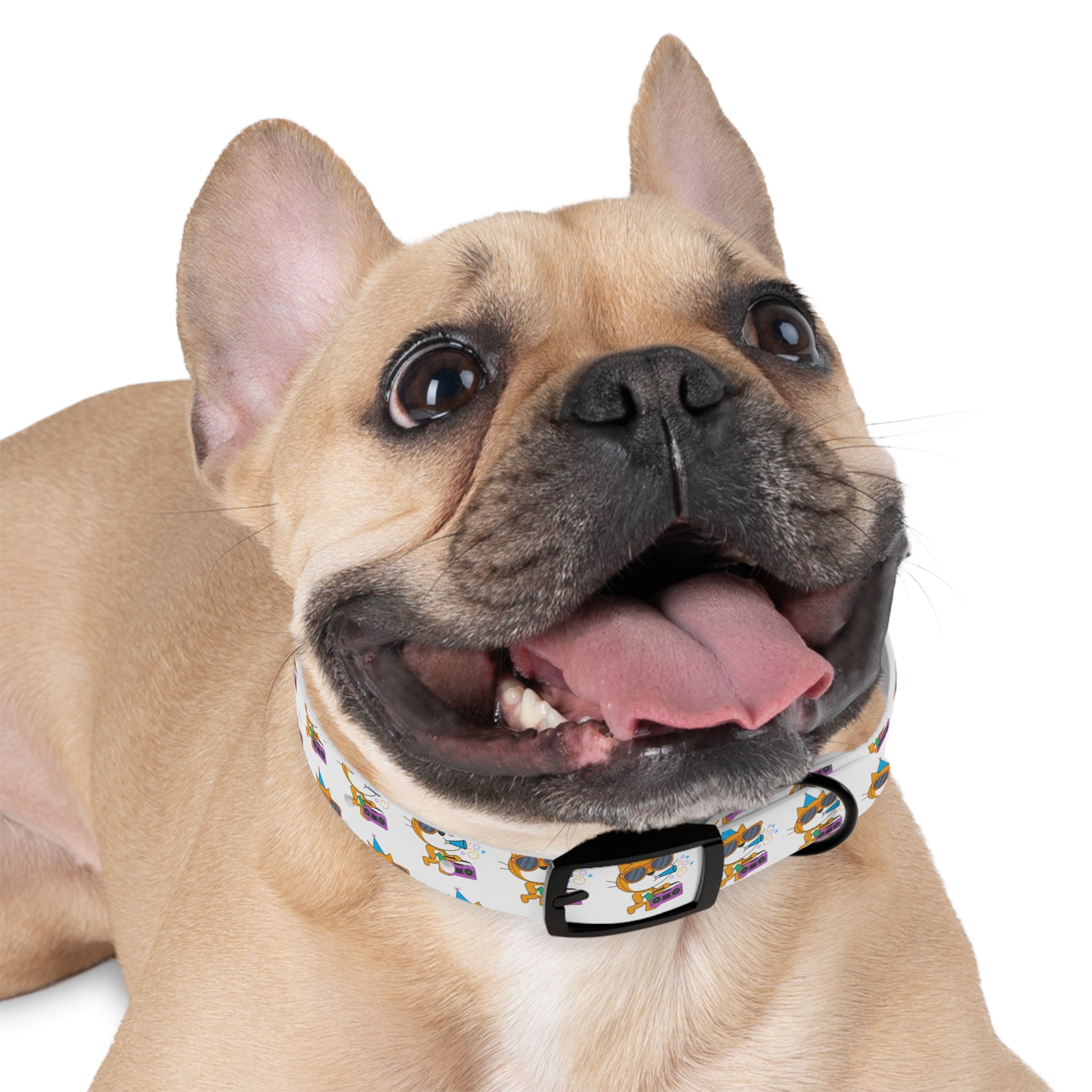 Scratch "Party Cat" Dog Collar