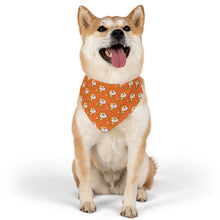 Scratch Cat Pet Bandana