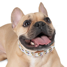 Scratch "Party Cat" Dog Collar