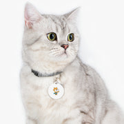 Scratch Cat "Surf's Up" Pet Tag