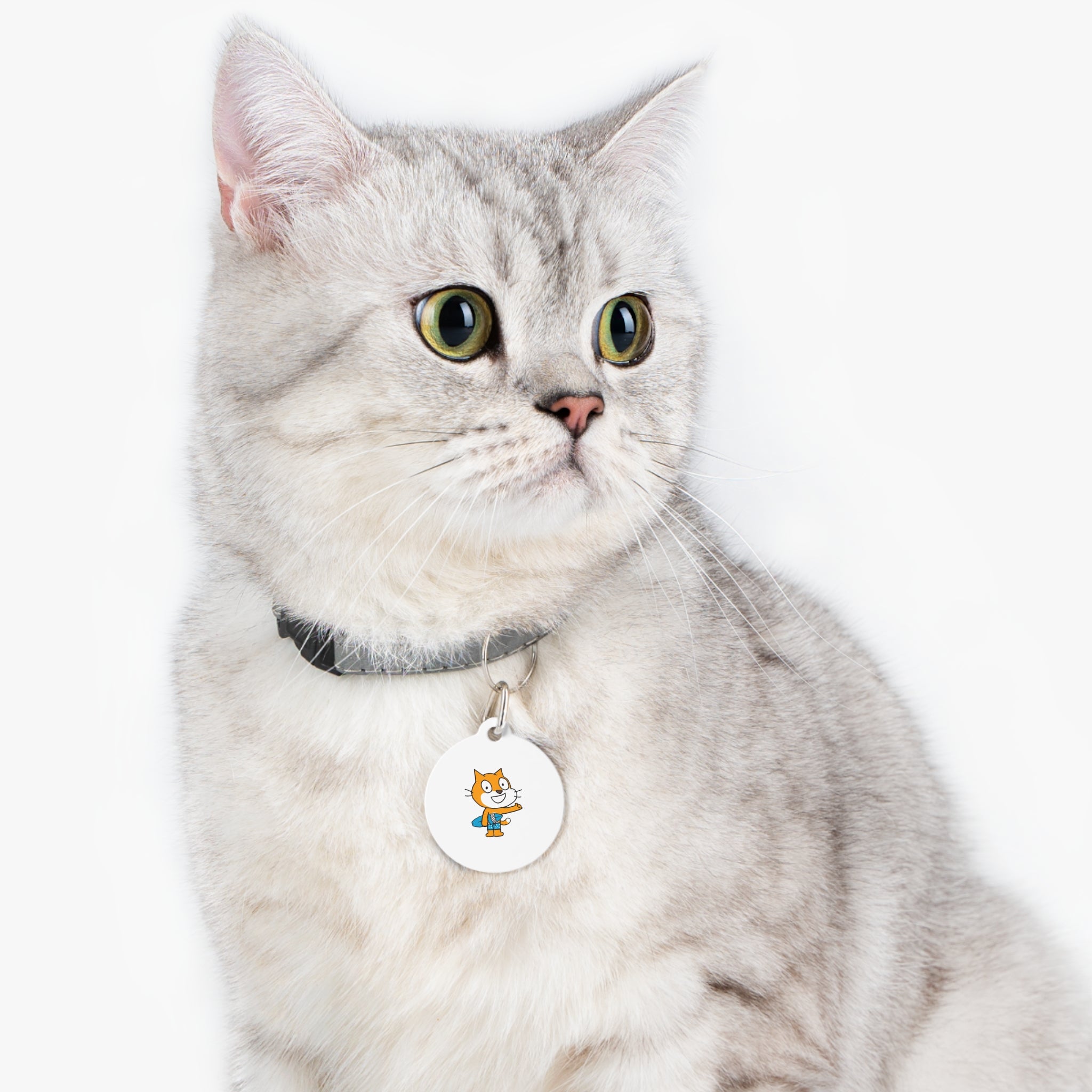 Scratch Cat "Surf's Up" Pet Tag