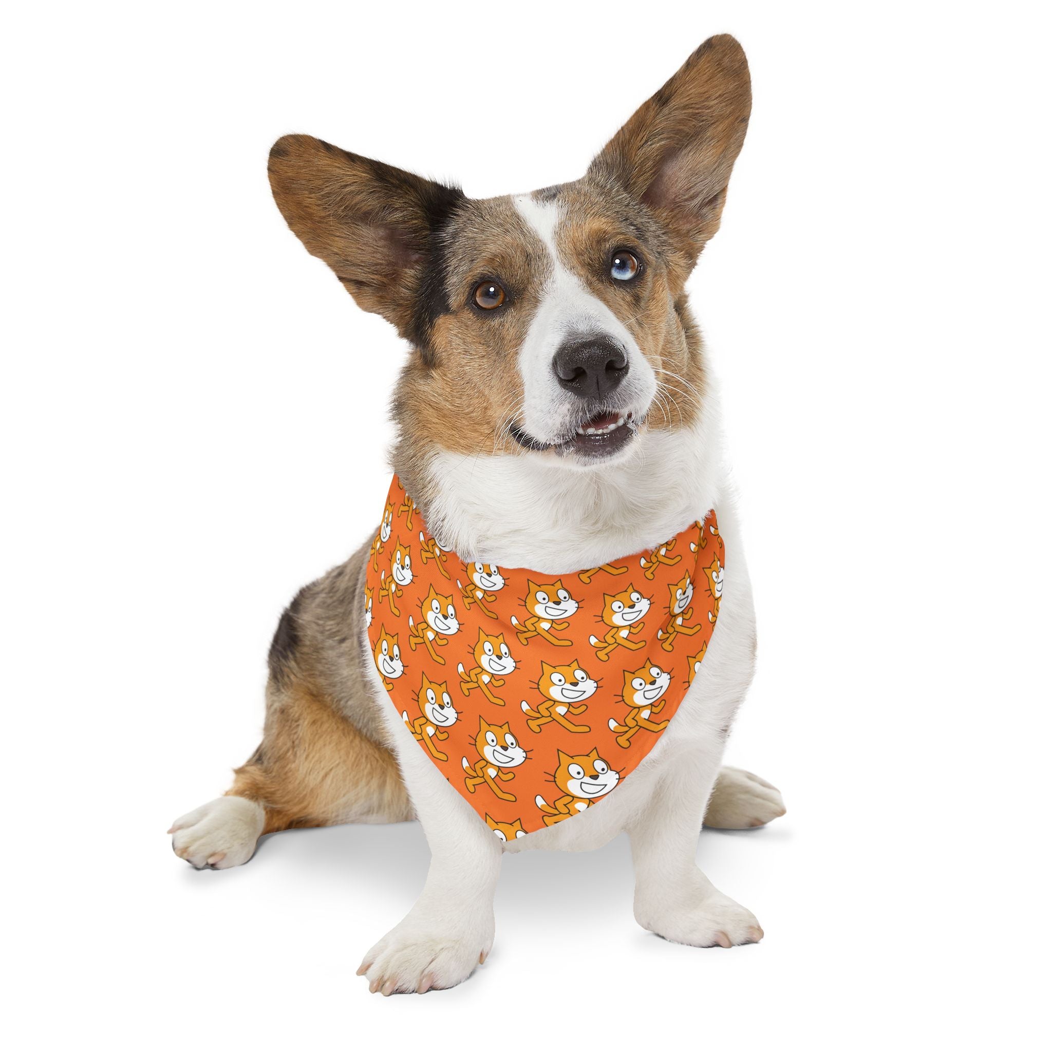 Scratch Cat Pet Bandana