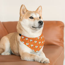 Scratch Cat Pet Bandana