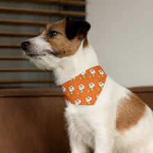 Scratch Cat Pet Bandana